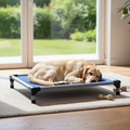 Luxury Outdoor Foldable PVC Dog Bed Eco-Friendly and Cooling Summer Sleeping Mat Solid Pattern Elevated Dog Beds for Pet